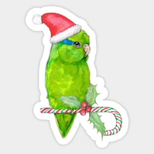 Green parrotlet christmas style Sticker